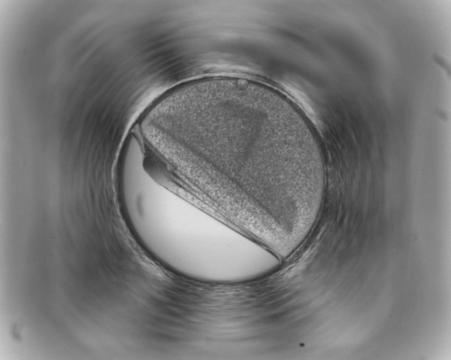 X0000097950891200804211033