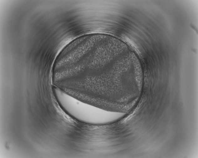 X0000097950892200804211033
