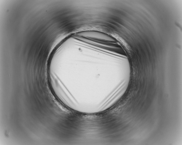 X0000097950894200804211033