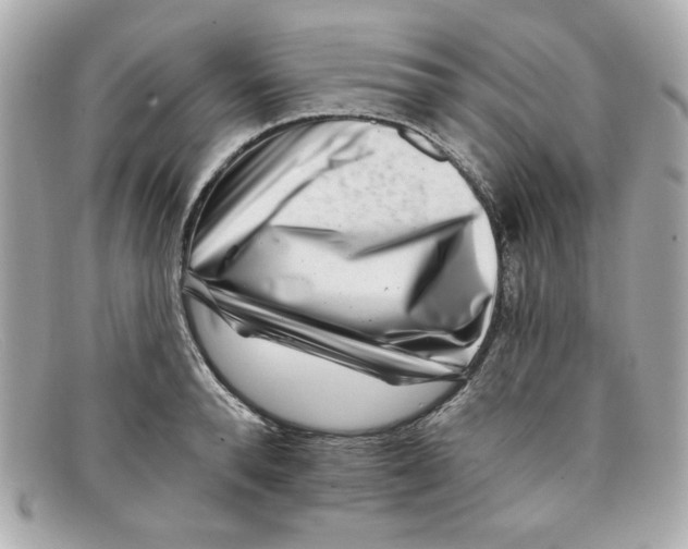 X0000097950896200804211033