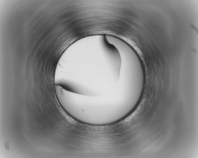 X0000097950897200804211033