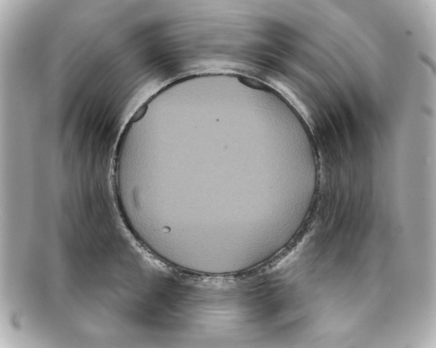 X0000097950901200804211033