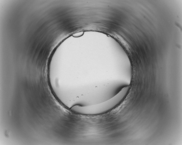 X0000097950902200804211033