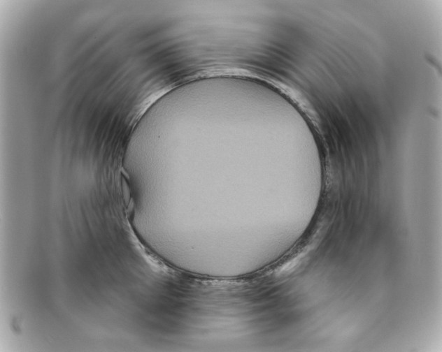 X0000097950905200804211033