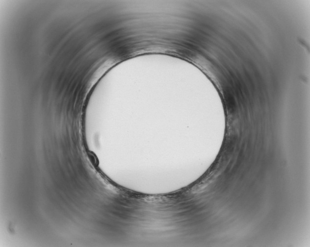 X0000097950906200804211033