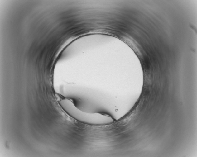 X0000097950908200804211033