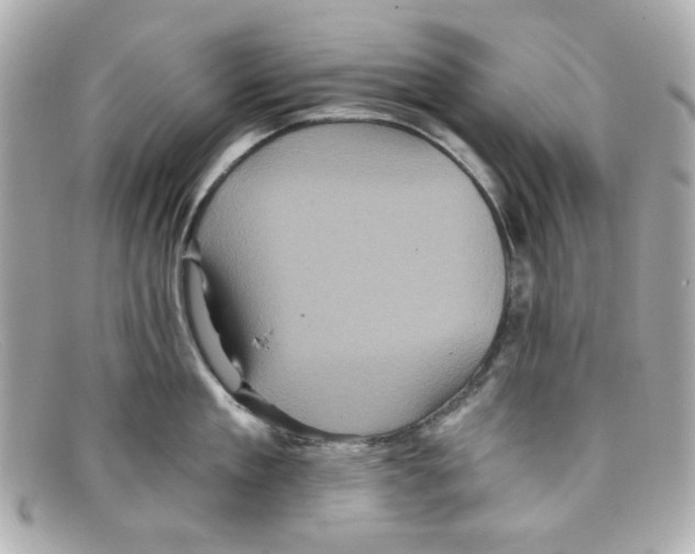X0000097950909200804211033