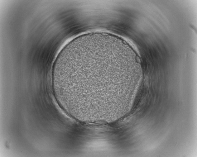 X0000097950911200804211033