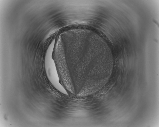 X0000097950919200804211032
