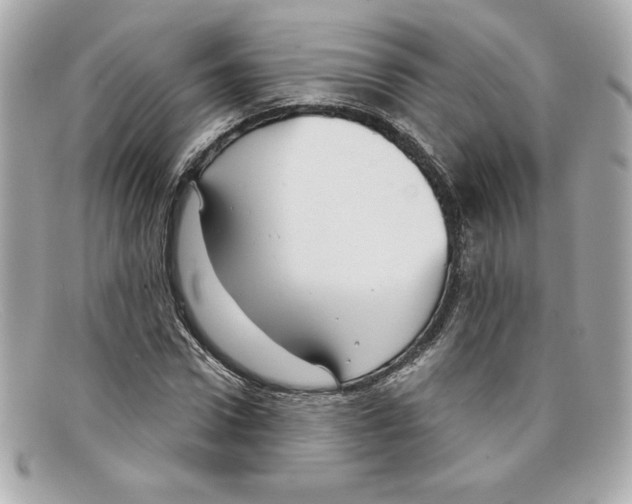 X0000097950922200804211032