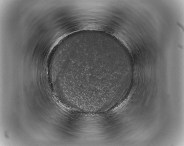 X0000097950923200804211032