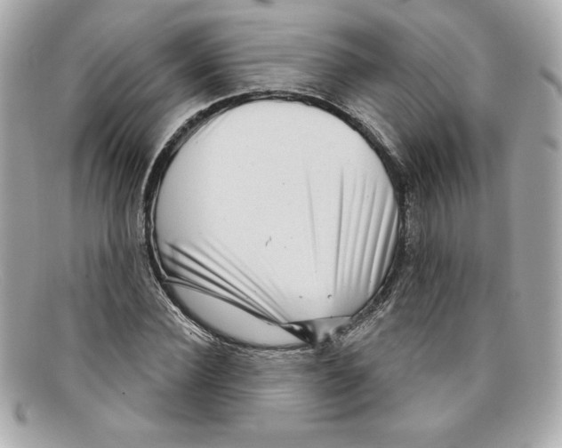 X0000097950924200804211032