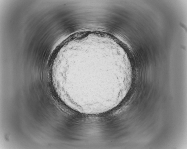 X0000097950925200804211032