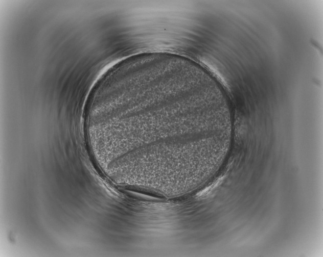 X0000097950932200804211032