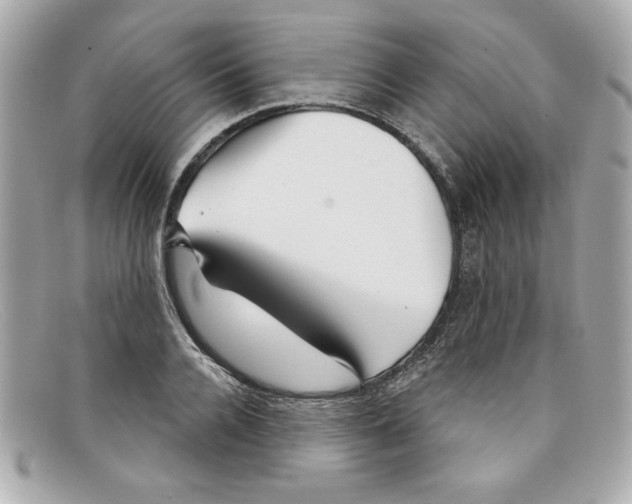X0000097950936200804211032