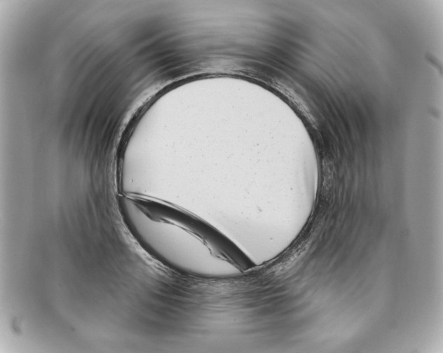 X0000097950939200804211032