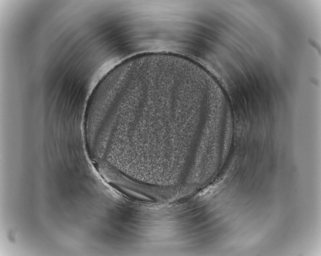 X0000097950943200804211032