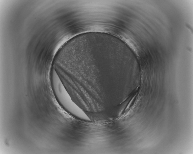 X0000097950944200804211032