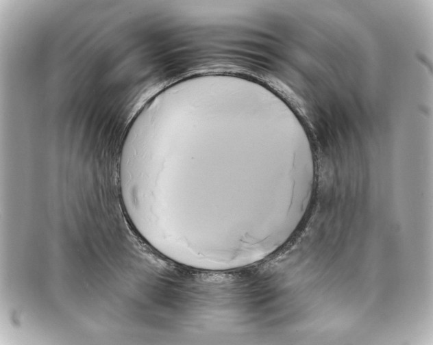X0000097950945200804211032