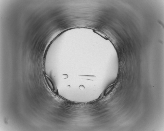 X0000097950948200804211032