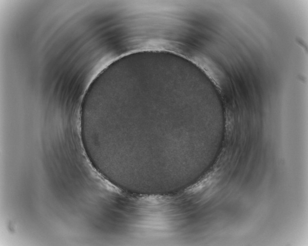 X0000097950950200804211033