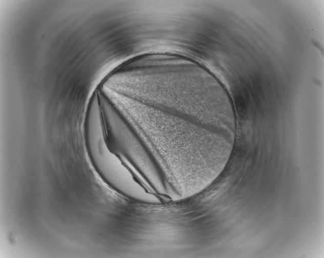 X0000097950951200804211033