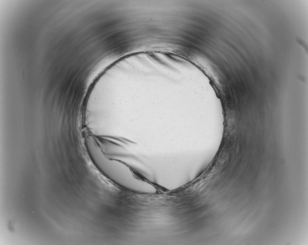 X0000097950952200804211033