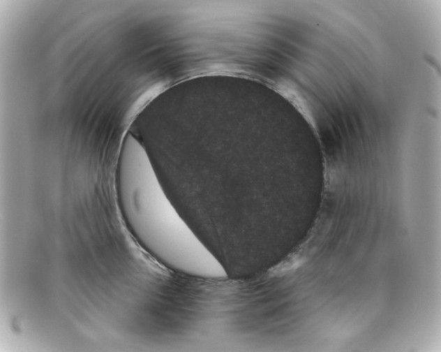 X0000097950954200804211033