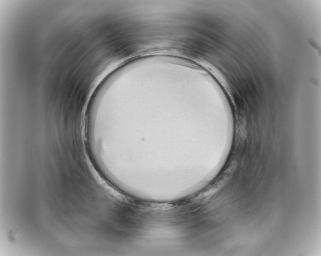 X0000097950957200804211033