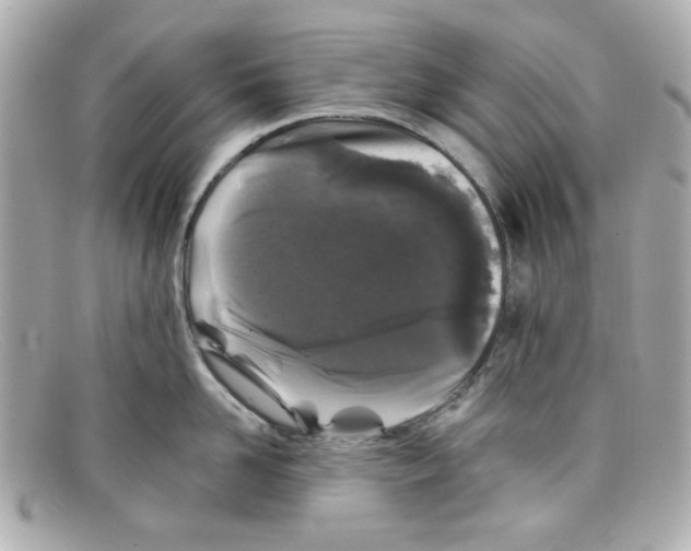 X0000097950958200804211033