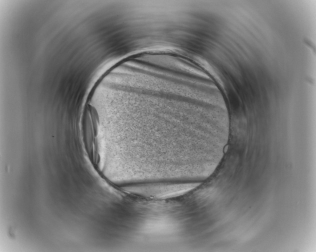 X0000097950959200804211033