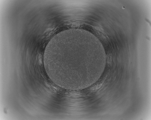 X0000097950962200804211032