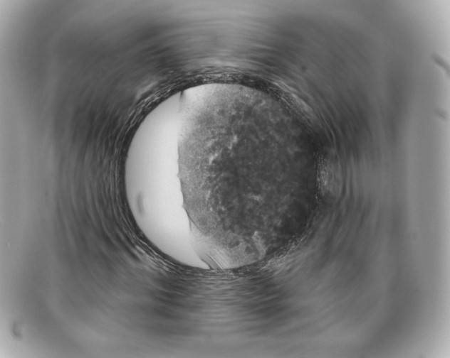 X0000097950964200804211032