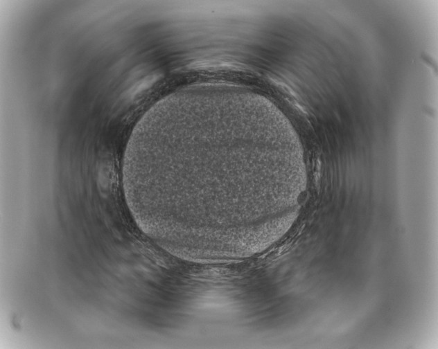X0000097950966200804211032