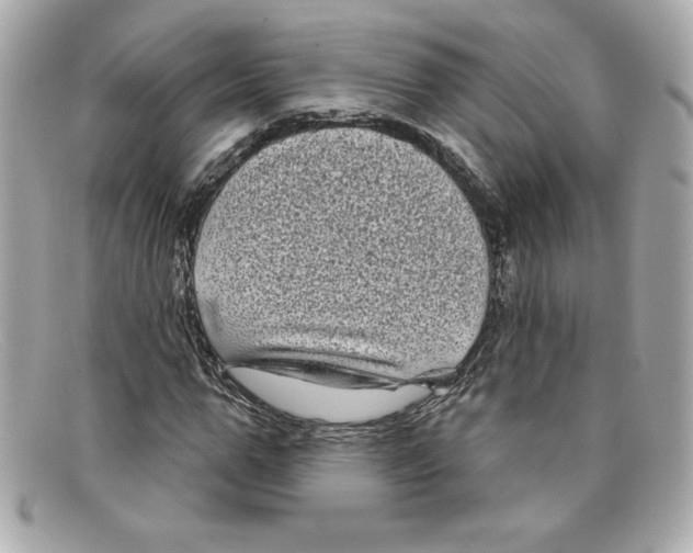 X0000097950967200804211032