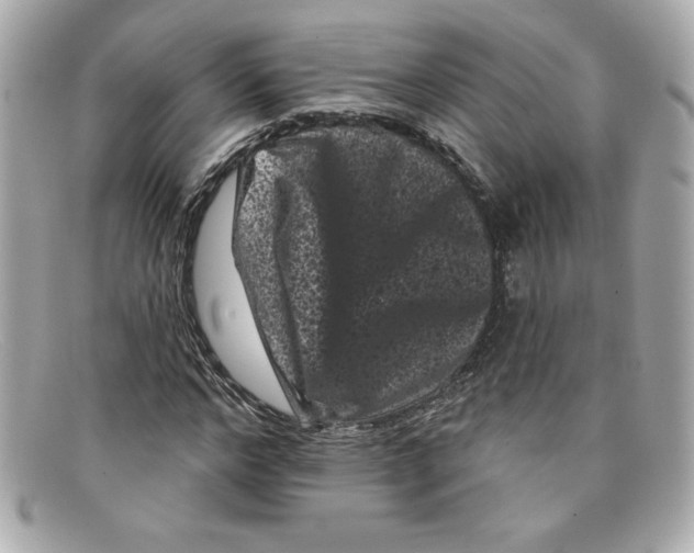 X0000097950968200804211032