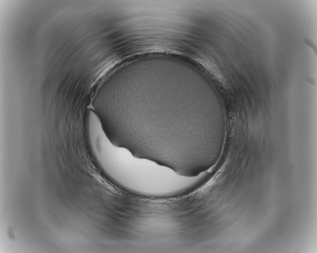 X0000097950969200804211032