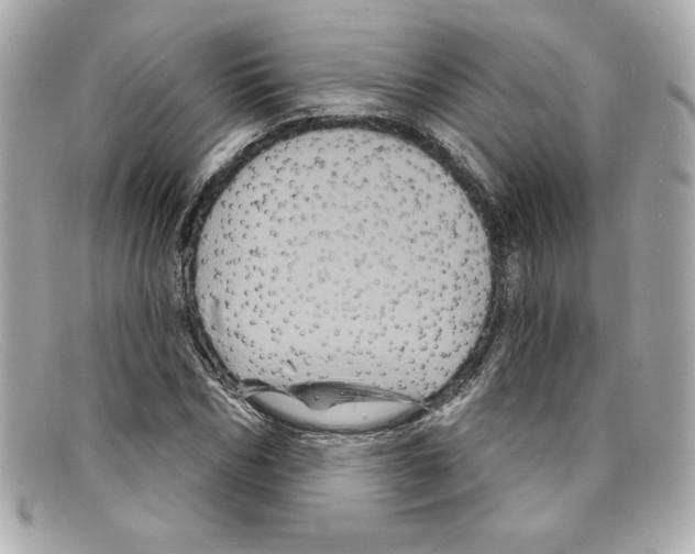 X0000097950970200804211032
