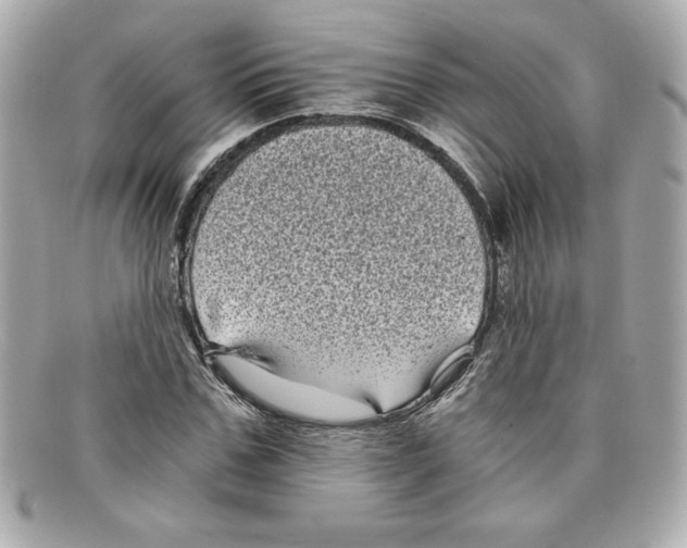 X0000097950971200804211032