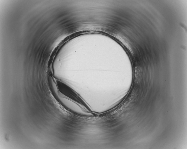 X0000097950972200804211032