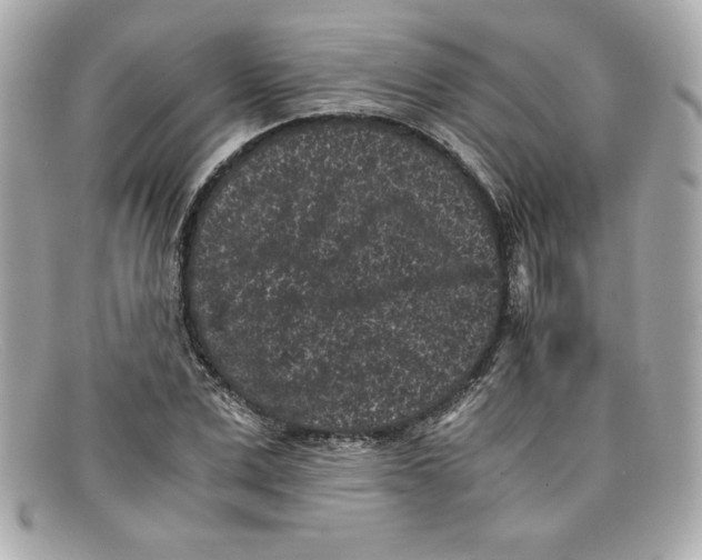 X0000097950975200804211032