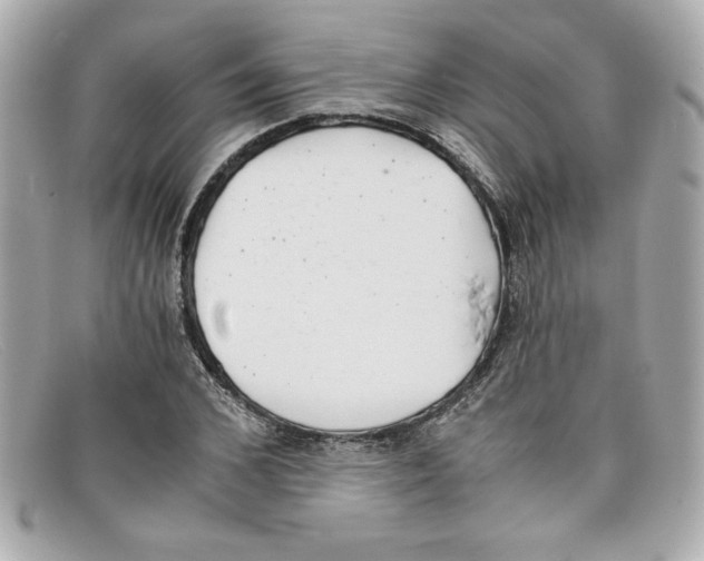 X0000097950976200804211032