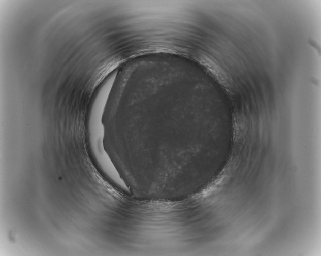 X0000097950977200804211032
