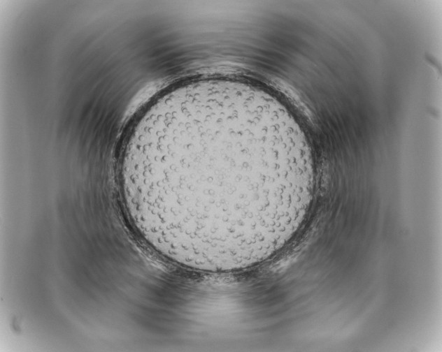 X0000097950978200804211032