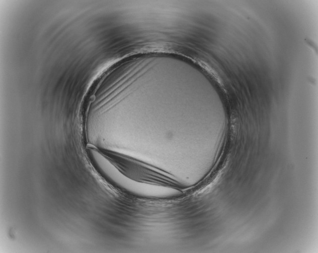 X0000097950981200804211032
