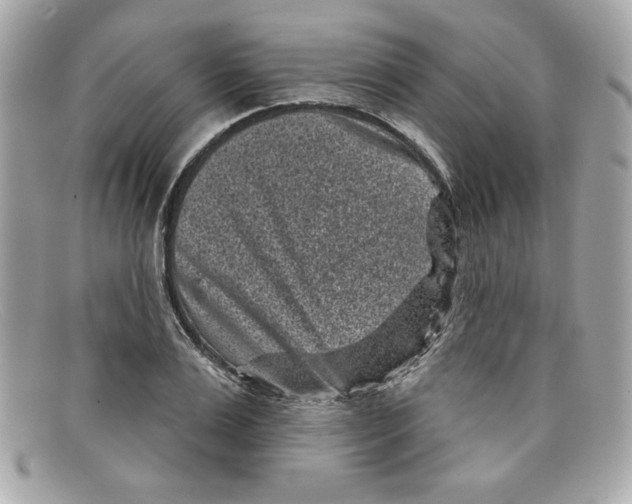 X0000097950983200804211031