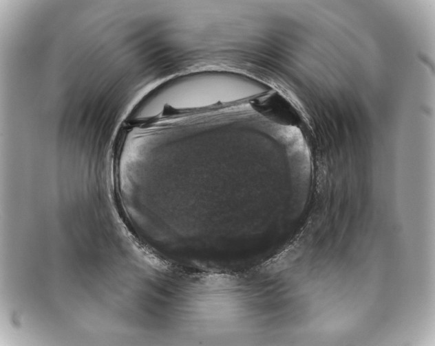 X0000097950984200804211031