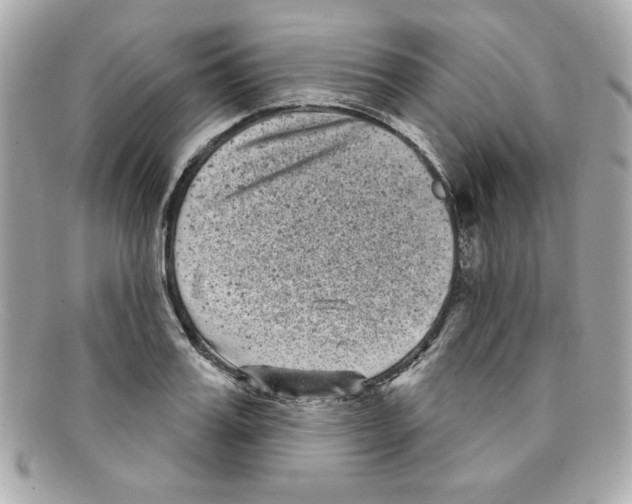 X0000097950987200804211031