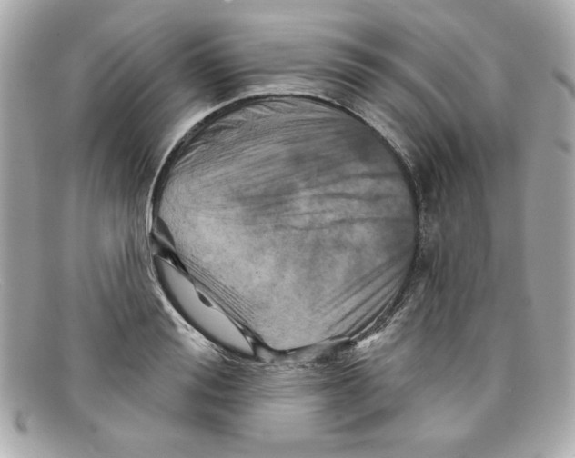 X0000097950988200804211031