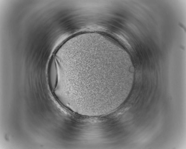 X0000097950990200804211031